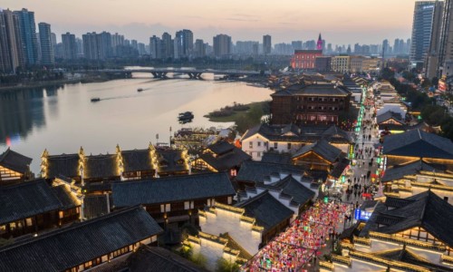 乌鸡汤放什么药材