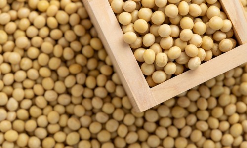 【孩子脸上起白斑是什么原因】孩子脸上有白斑是怎么回事? - 孩子脸上有白斑点网